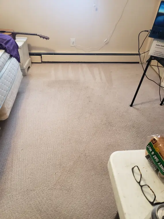Carpet cleaned up to the baseboards
