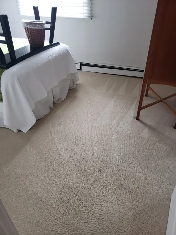 Bedroom carpet cleaned
