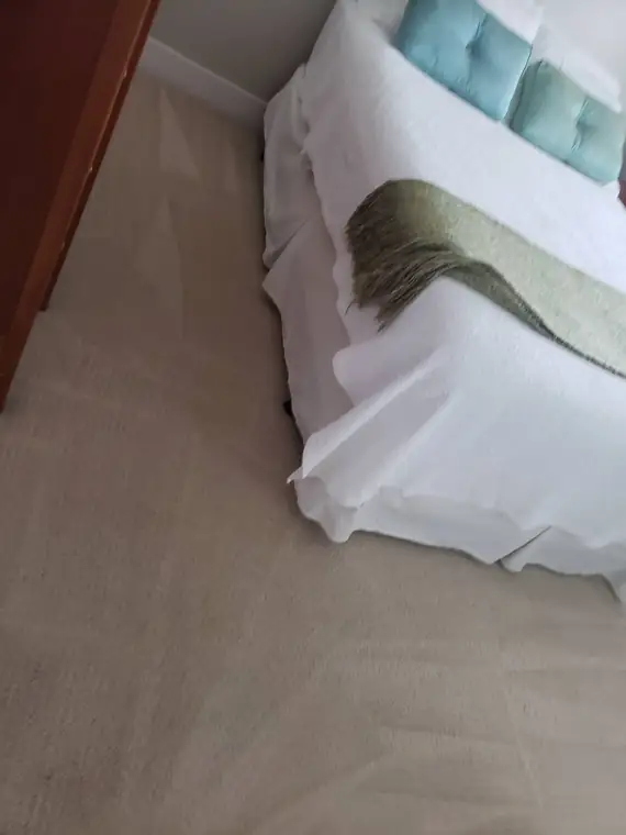 Bedroom carpet cleaned