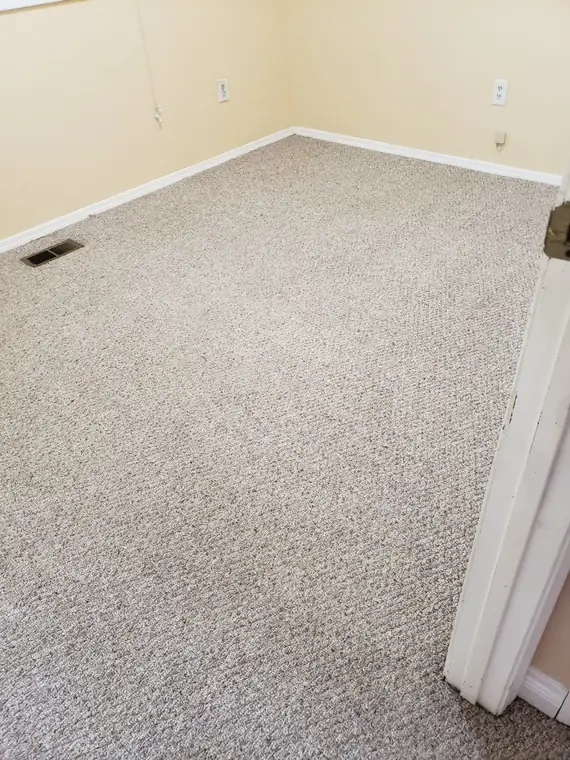 Freshly steamed bedroom carpet