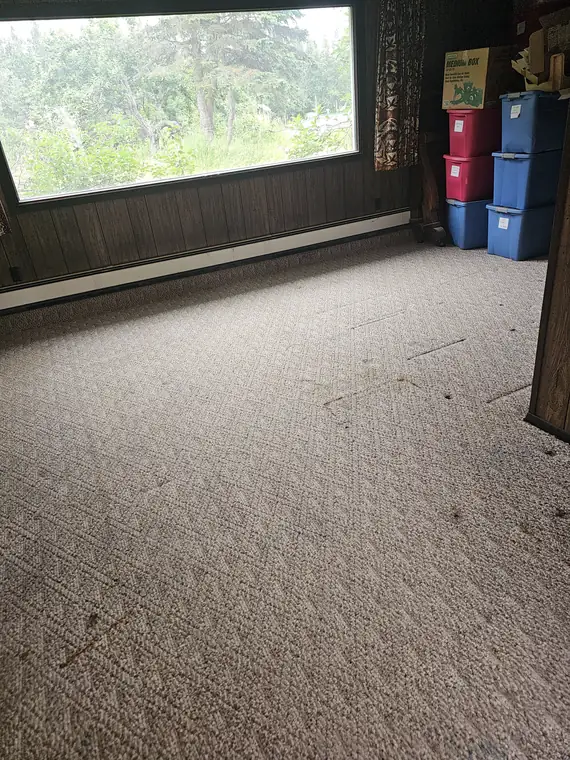 Textured carpet cleaned
