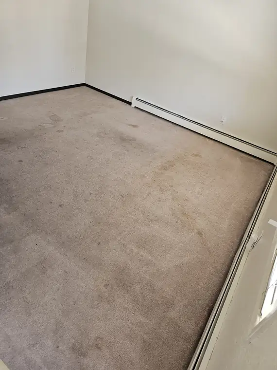 Clean carpet corner to corner