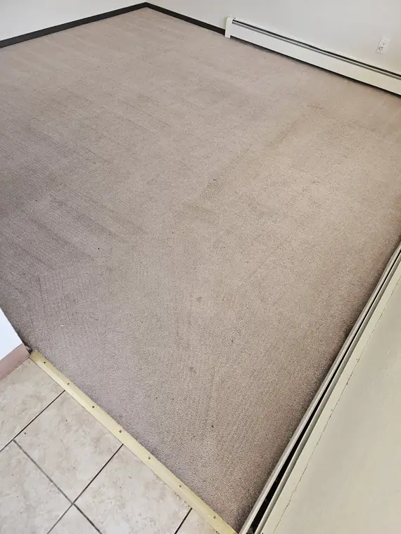 Clean bedroom carpet
