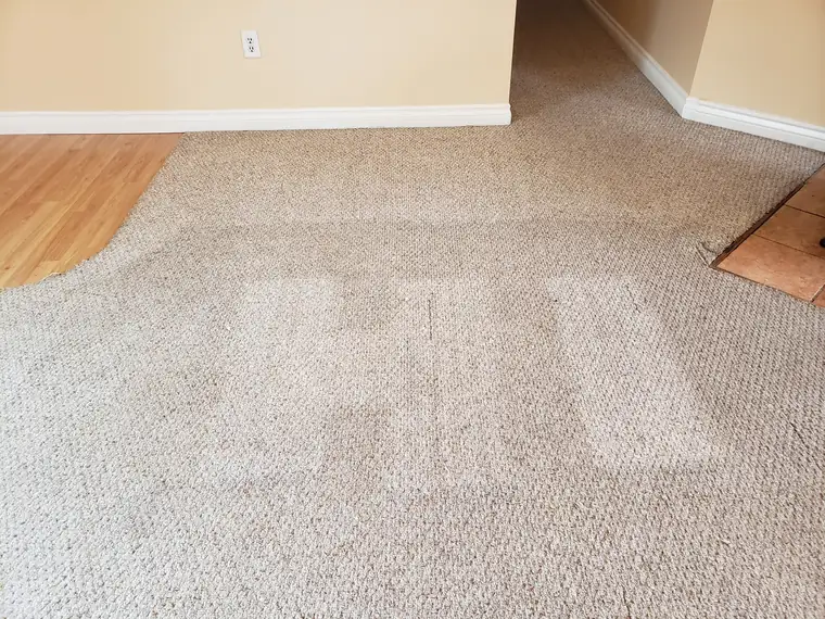 Carpet mid-clean, one side done
