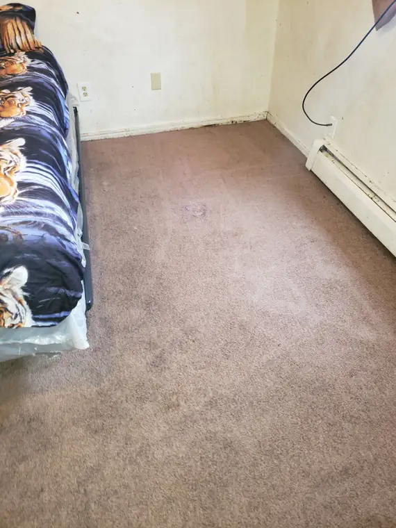 Finished living room carpet, Anchorage