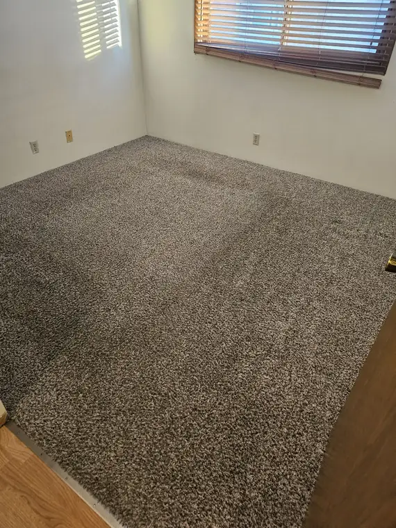 Home office carpet cleaned