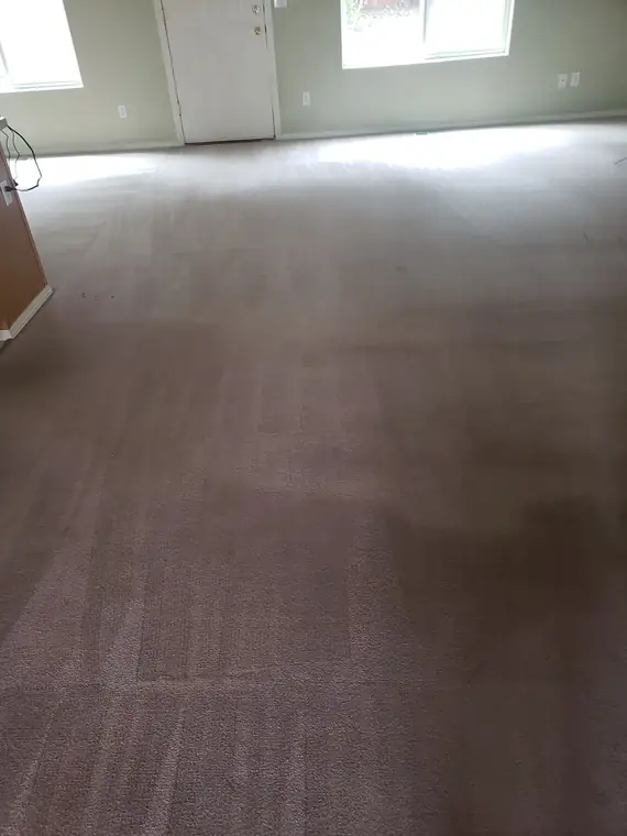 Fresh steam lines after cleaning