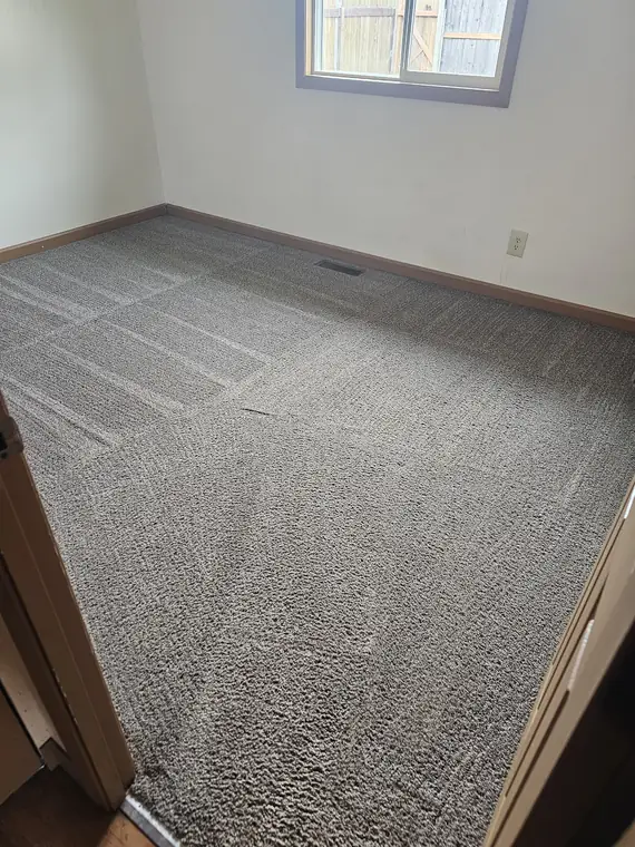 Living room carpet cleaned