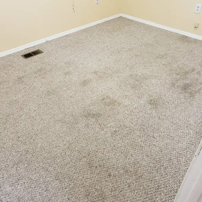 Beige bedroom carpet before steam cleaning — soiled through the middle