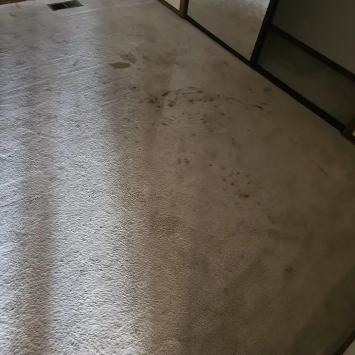 Bedroom carpet before steam cleaning — heavy traffic soiling