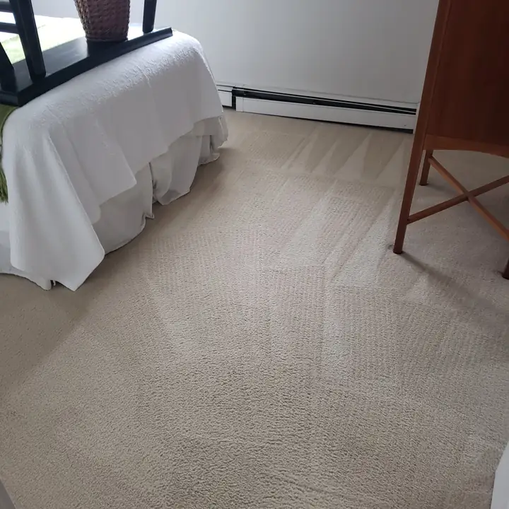 Same cream carpet after steam cleaning — spots gone, fresh steam lines