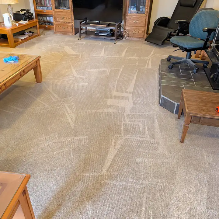 Same living room after steam cleaning — mud and traffic lifted clean